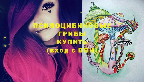 таблы Богданович