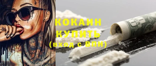 кокс Богородицк