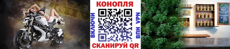 МАРИХУАНА гибрид  Кольчугино 